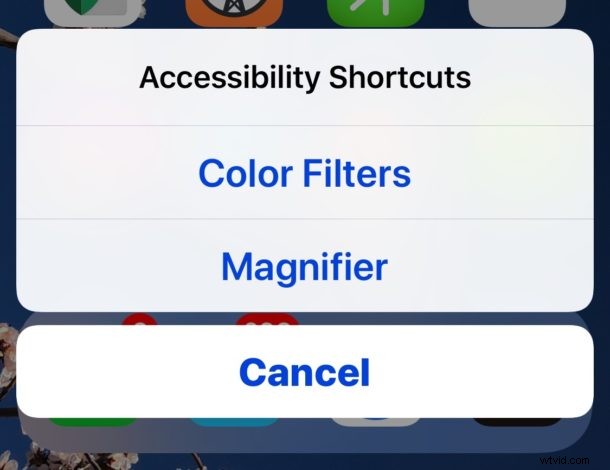 How to Set Up and Use the Accessibility Shortcut on iPhone and iPad: Quick Guide