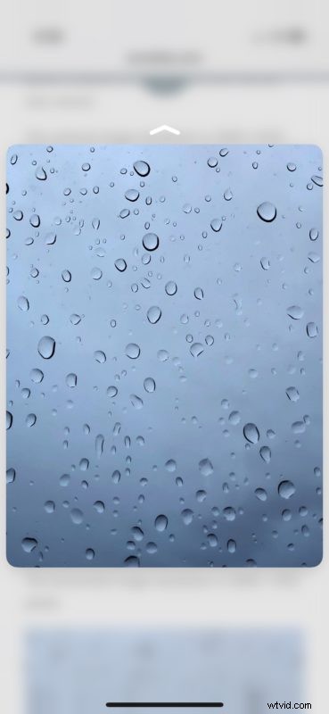 Can t Save Images in Safari on iPhone XS, XR, X, 8, 7? Causes and Quick Fixes