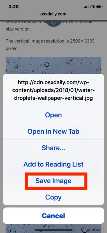 Can t Save Images in Safari on iPhone XS, XR, X, 8, 7? Causes and Quick Fixes