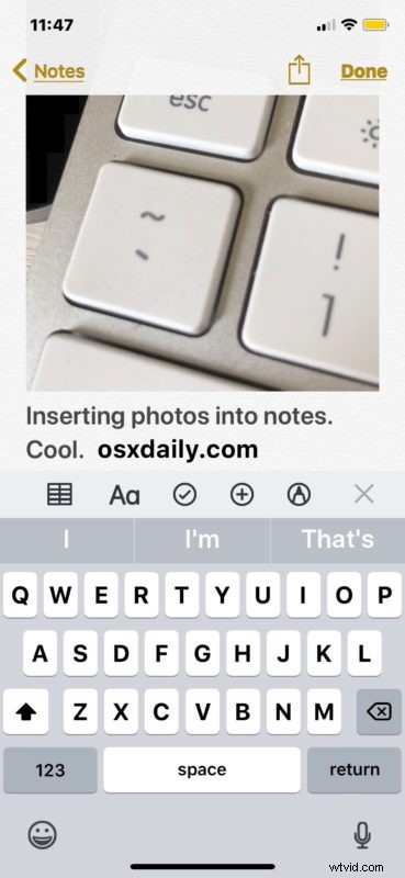Effortlessly Capture Photos & Videos Directly in Notes on iPhone and iPad