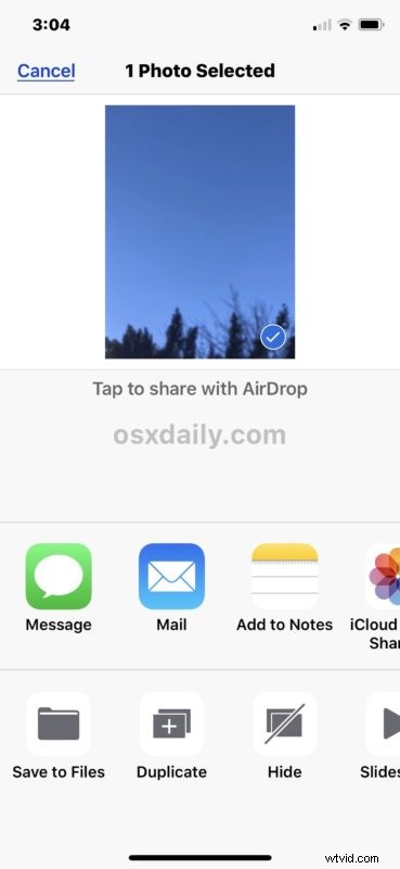 How to Effortlessly Send Live Photos as Animated GIFs from iPhone or iPad