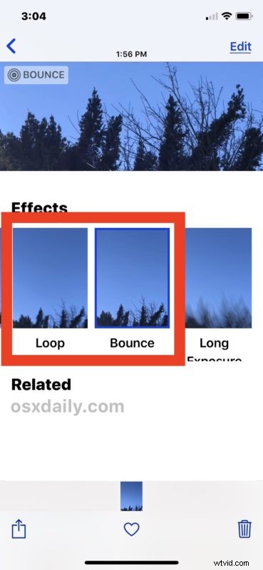 How to Effortlessly Send Live Photos as Animated GIFs from iPhone or iPad