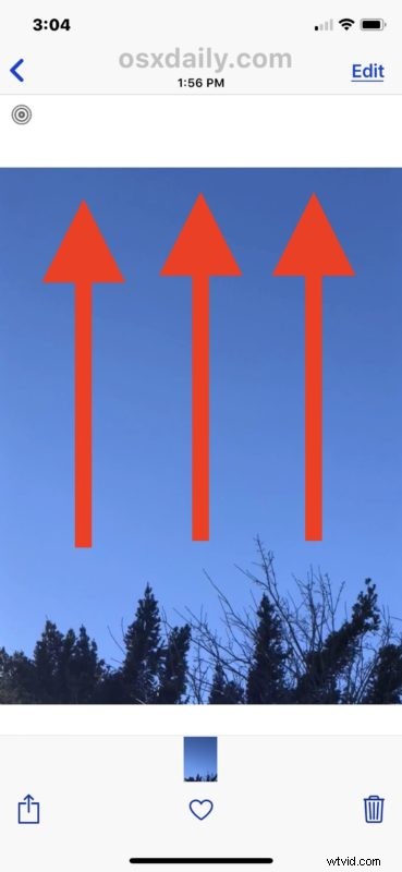 How to Effortlessly Send Live Photos as Animated GIFs from iPhone or iPad