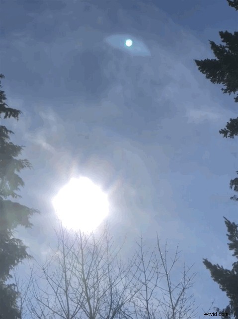 How to Effortlessly Send Live Photos as Animated GIFs from iPhone or iPad