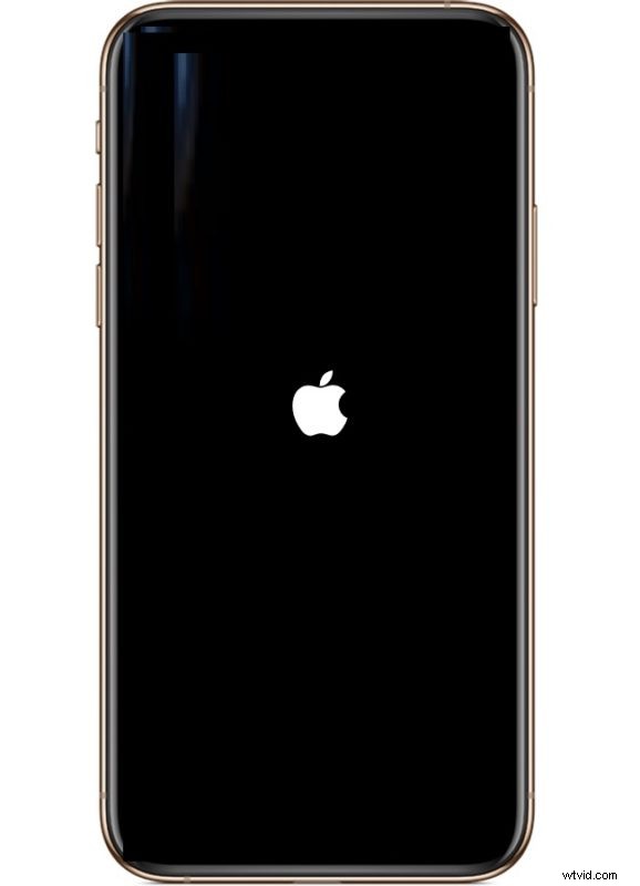 How to Force Restart iPhone XS Max, XS, and XR: Simple Step-by-Step Guide