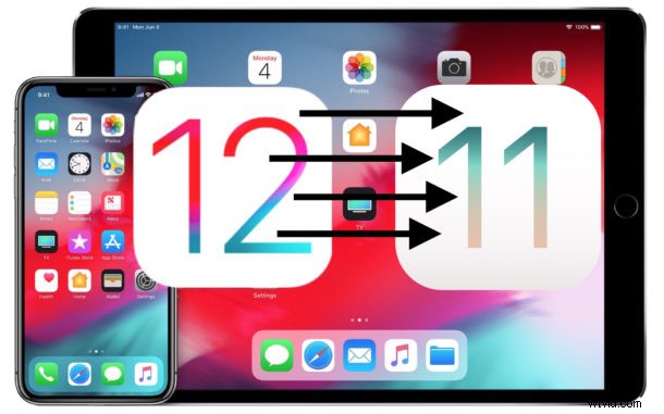 How to Downgrade iOS 12 to iOS 11.4.1 on iPhone or iPad – Limited Time Guide