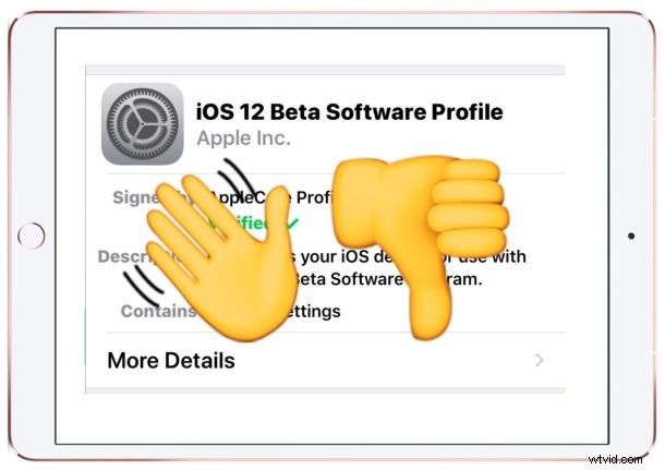 How to Exit iOS 12 Beta Program: Easy Steps for iPhone & iPad