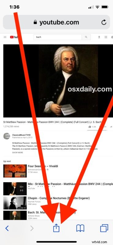 How to Play YouTube Videos in the Background on iPhone & iPad: Easy Step-by-Step Guide
