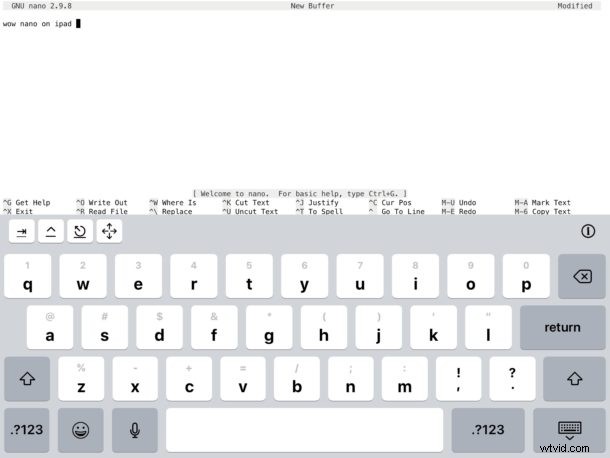 Run Linux Shell on iPad or iPhone: Complete iSH Setup Guide