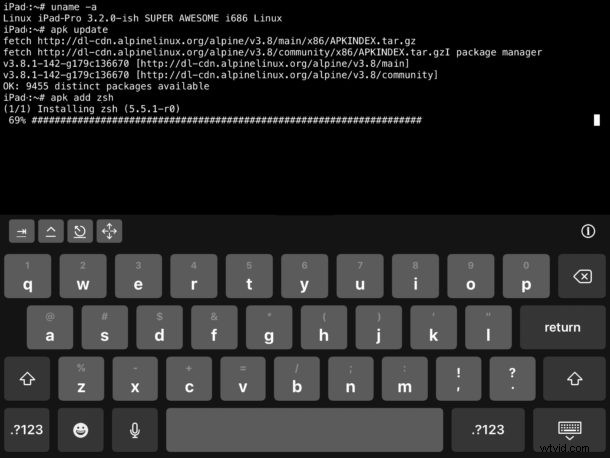 Run Linux Shell on iPad or iPhone: Complete iSH Setup Guide