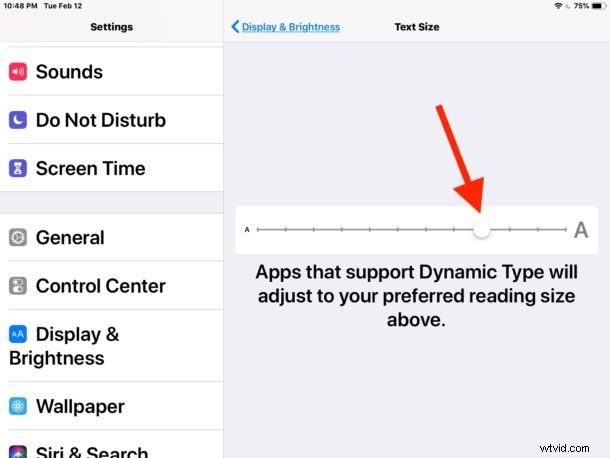 Increase Text Size on iPad: Make Fonts Much Larger for Easy Reading