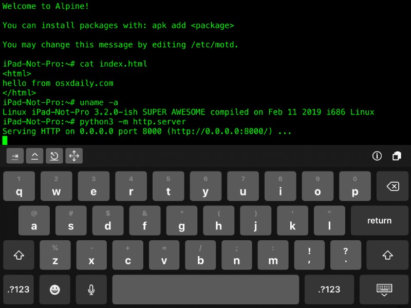 Easy Guide: Run a Simple Web Server on iPhone or iPad with iSH