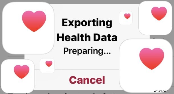 How to Export Health Data from iPhone: Step-by-Step Guide