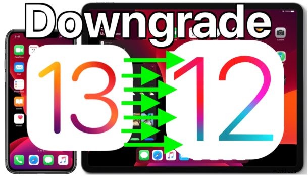 Step-by-Step Guide: Safely Downgrade iOS 13.1/iPadOS 13.1 to iOS 12.4.1 on iPhone & iPad