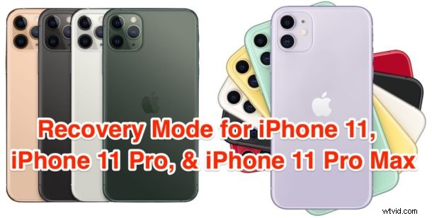 Step-by-Step Guide: Enter Recovery Mode on iPhone 11, 11 Pro & 11 Pro Max