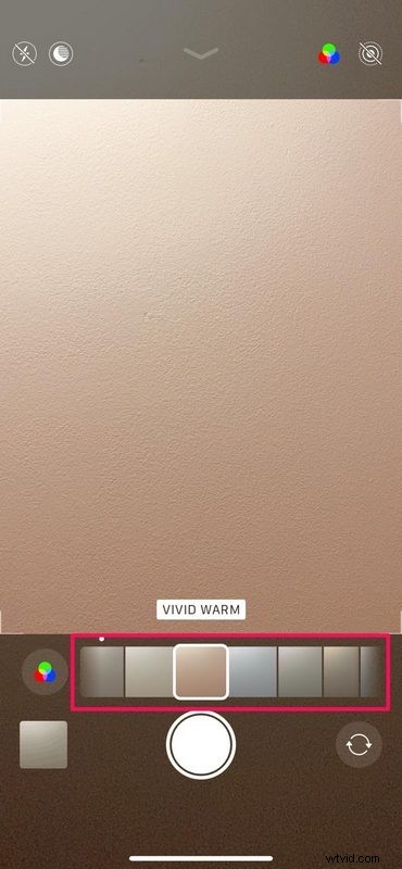 Master Camera Filters on iPhone 11 & 11 Pro: Step-by-Step Guide