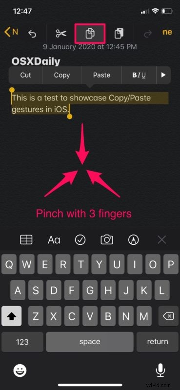 Master Copy & Paste Gestures on iPhone & iPad: iOS/iPadOS Guide