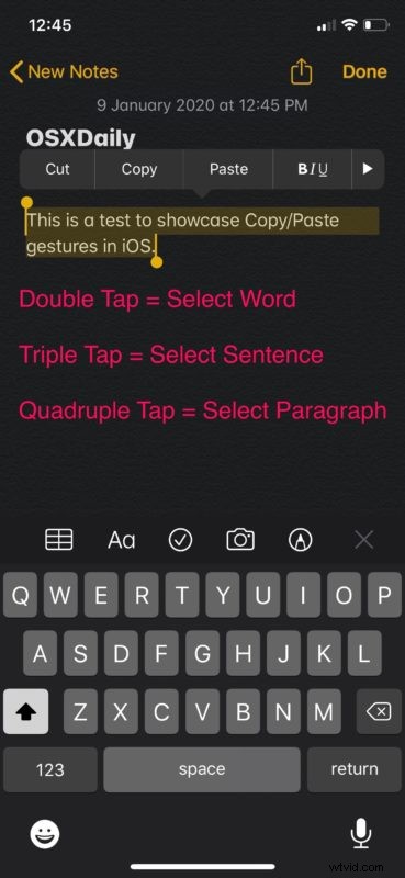 Master Copy & Paste Gestures on iPhone & iPad: iOS/iPadOS Guide