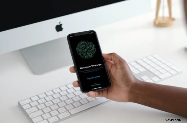 How to Make WhatsApp Video Calls on iPhone: Easy Step-by-Step Guide