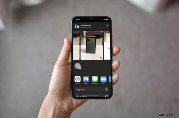 Protect Your Privacy: How to Remove Location Data from iPhone & iPad Photos Before Sharing