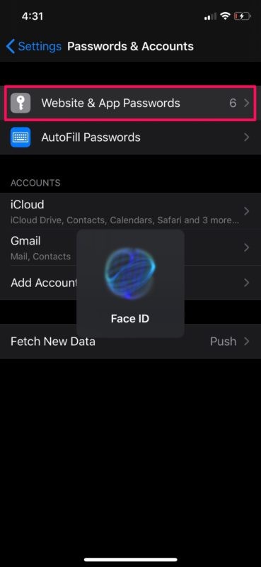 How to Securely Delete Old Passwords and Accounts from iPhone & iPad Keychain