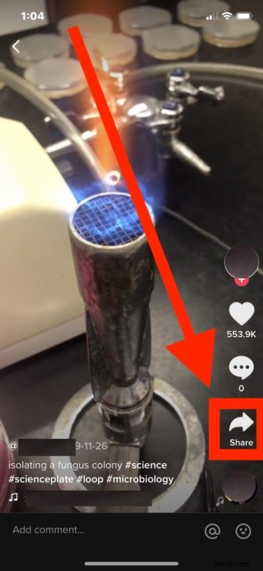 How to Download TikTok Videos to iPhone or iPad: Easy Step-by-Step Guide