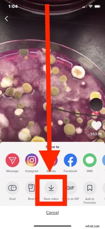 How to Download TikTok Videos to iPhone or iPad: Easy Step-by-Step Guide