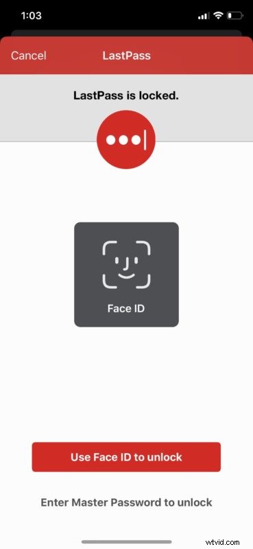 Expert Guide: Use 1Password, LastPass & More on iPhone/iPad Instead of iCloud Keychain