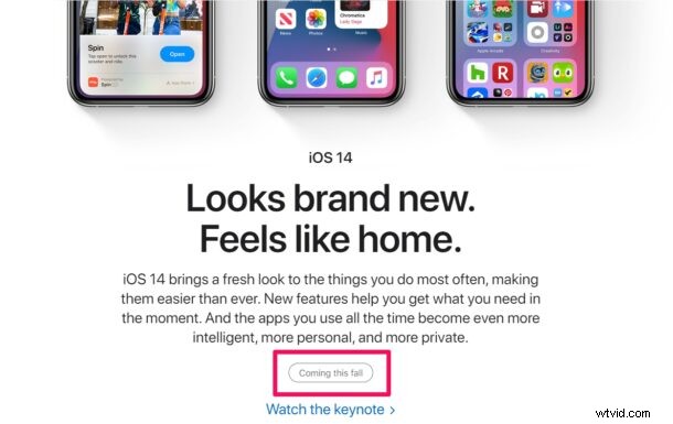 iOS 14 Release Dates: Official Launch, Developer Beta & Public Beta Timeline