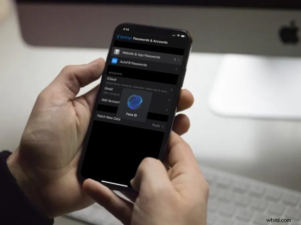 How to Access Saved Accounts & Passwords on iPhone and iPad Securely