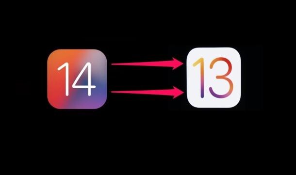 How to Safely Downgrade iOS 14 Beta to iOS 13 on iPhone Without Data Loss