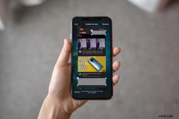 How to Use Guided Access on iPhone & iPad: Lock Apps to the Screen Easily