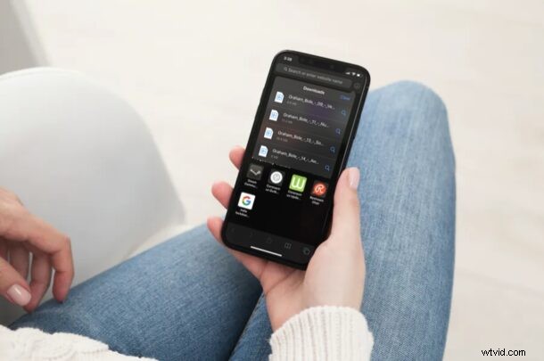 How to Download Files from Safari on iPhone and iPad: Step-by-Step Guide