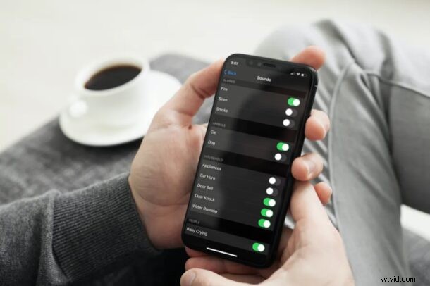 How to Enable Sound Recognition Alerts on iPhone & iPad: Detect Doorbells, Alarms & More