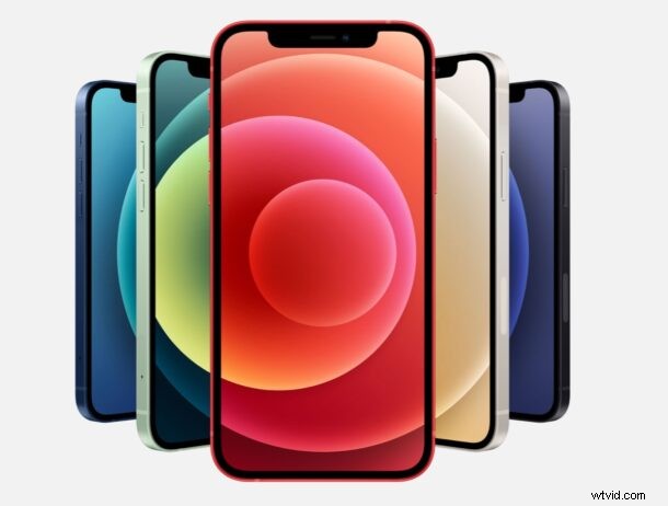 Apple Launches 5G iPhone 12 Series: iPhone 12, Mini, Pro & Pro Max