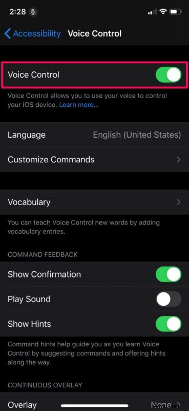 Send iMessage Effects Hands-Free: Voice Control Guide for iPhone & iPad