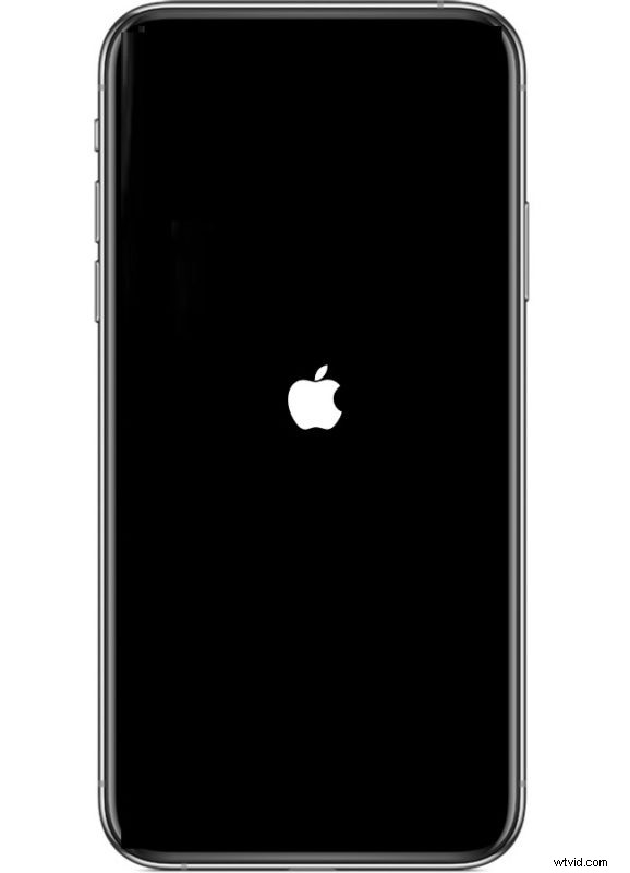 iPhone/iPad Keyboard Not Showing Up? Quick & Easy Fixes to Restore It