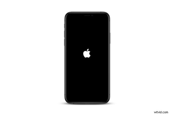 How to Force Restart iPhone 12, 12 Mini & 12 Pro: Easy Step-by-Step Guide