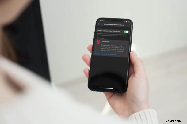 How to Check for Leaked or Compromised Passwords on iPhone & iPad: Security Guide & Recommendations