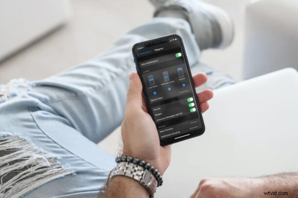 How to Disable Telegram Message Previews on iPhone for Enhanced Privacy