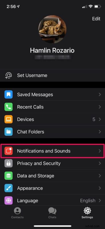 How to Disable Telegram Message Previews on iPhone for Enhanced Privacy