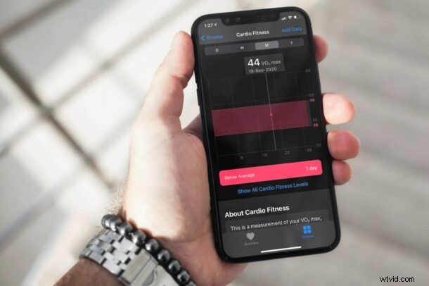 Track Cardio Fitness Levels: Easy Setup Guide for iPhone & Apple Watch