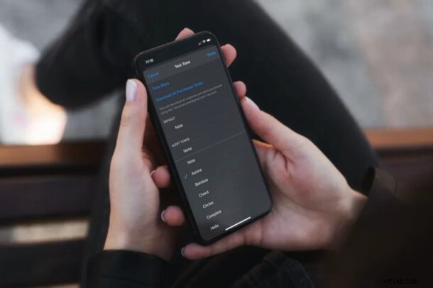 How to Assign Custom Text Tones to Individual Contacts on iPhone & iPad: Step-by-Step Guide