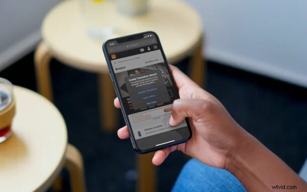 How to Translate Webpages in Safari on iPhone & iPad: Built-in Feature Guide