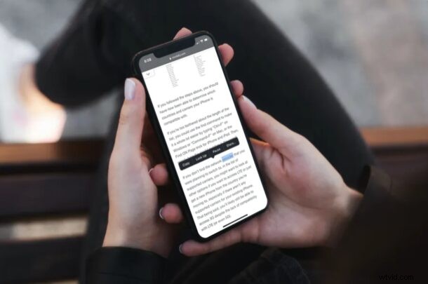 How to Use Speak Selection on iPhone & iPad: Read Text Aloud Effortlessly