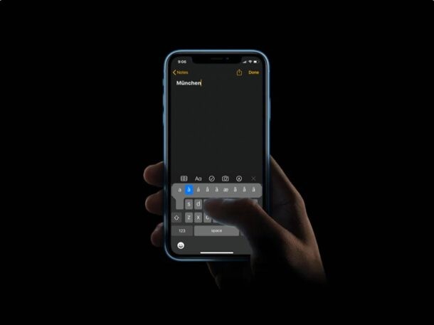 How to Easily Type Accented Letters on iPhone and iPad Keyboards