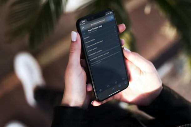 How to Download Your Complete Twitter Data Archive on iPhone or iPad