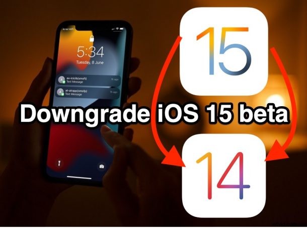 How to Safely Downgrade iOS 15 Beta to Stable iOS 14.x: Step-by-Step Guide