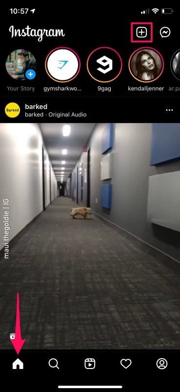 How to Hide Likes on Instagram: Step-by-Step Privacy Guide