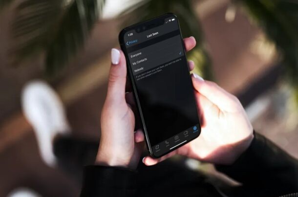 How to Hide Last Seen on WhatsApp for iPhone: Easy Privacy Guide